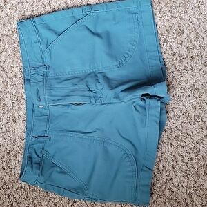 Patagonia Shorts